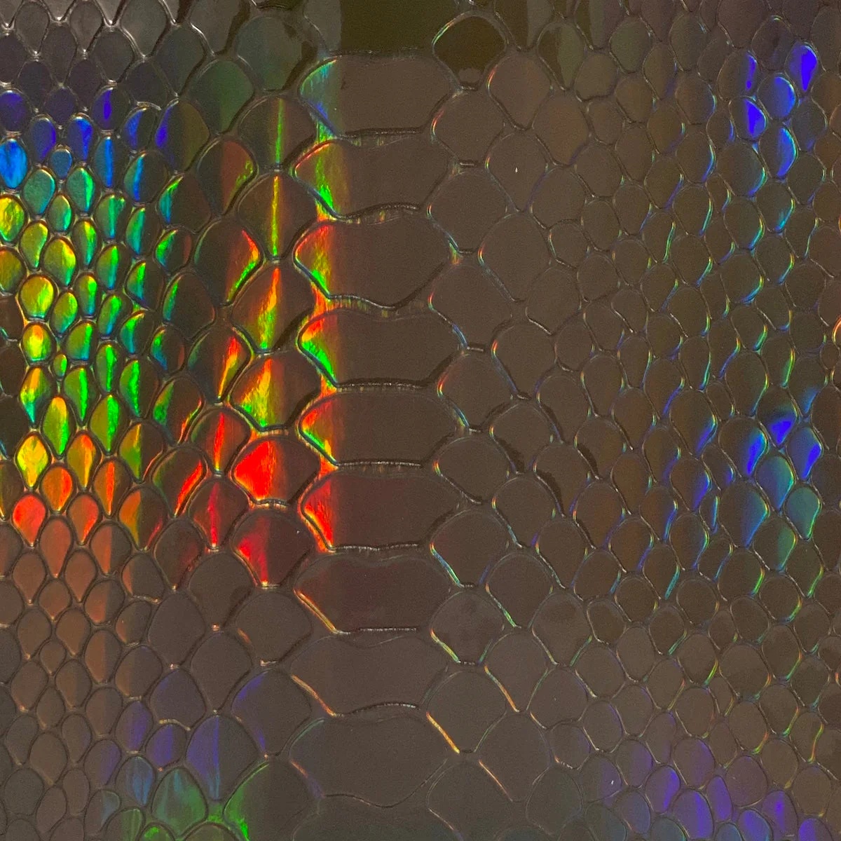 Iridescent Viper Snakeskin - Charcoal Gray