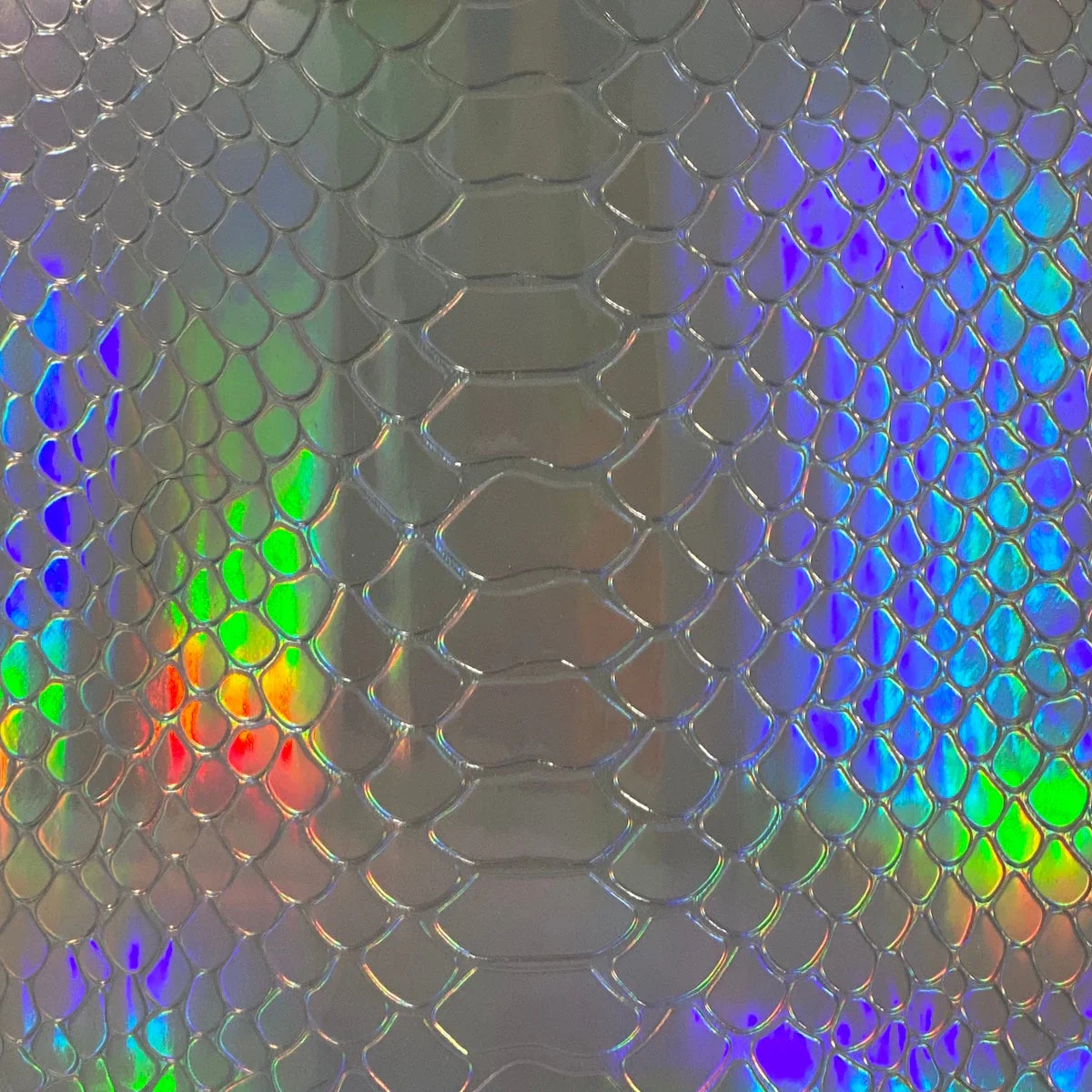Iridescent Viper Snakeskin - Silver