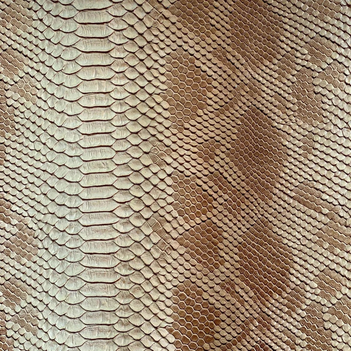 Viper Faux Snakeskin - Beige